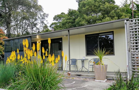 Hilltop Cottages - Northern Rivers Accommodation 9