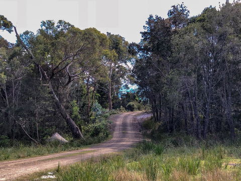 BAY OF FIRES ECO HUT Off Grid Experience At Binalong Bay - Northern Rivers Accommodation 12