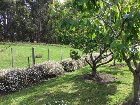 Nextdoor@portarthur - Northern Rivers Accommodation 18