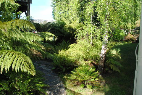 The Wombat Cottage - Northern Rivers Accommodation 4