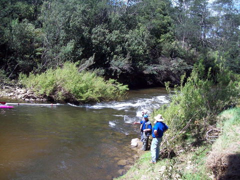 St. Pauls Bed & Breakfast - Northern Rivers Accommodation 26