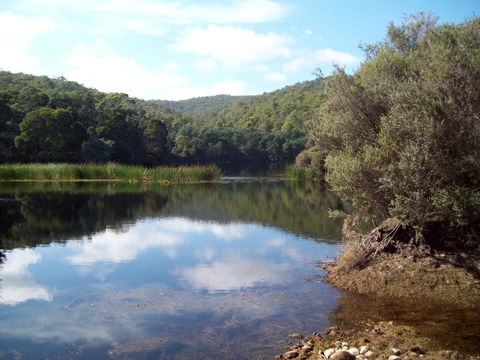 St. Pauls Bed & Breakfast - Northern Rivers Accommodation 11