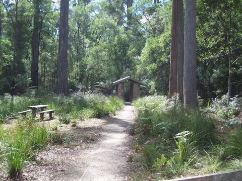 St. Pauls Bed & Breakfast - Northern Rivers Accommodation 5