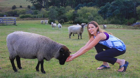 Ashdowns Of Dover - Northern Rivers Accommodation 26