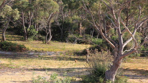 BAY OF FIRES SEACHANGE Ocean Frontage - Northern Rivers Accommodation 12