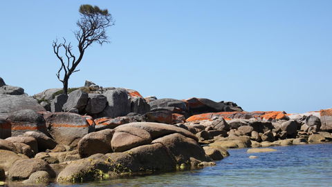 BAY OF FIRES SEACHANGE Ocean Frontage - Northern Rivers Accommodation 21