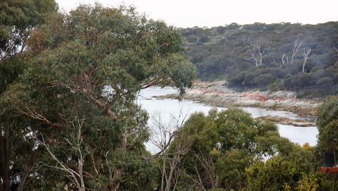 BAY OF FIRES SEACHANGE Ocean Frontage - Northern Rivers Accommodation 15