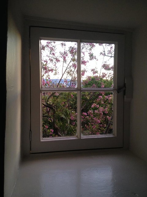 Blue Magnolia - Northern Rivers Accommodation 36