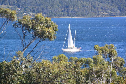 The Tree House - Northern Rivers Accommodation 5
