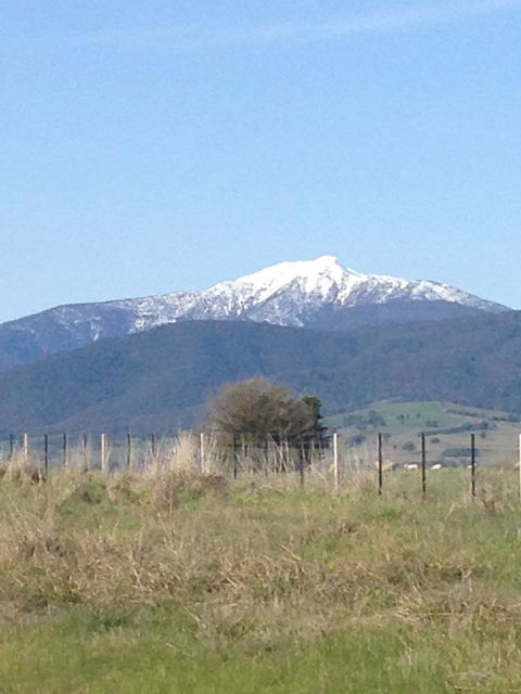 High Country Holiday Park - Northern Rivers Accommodation 34