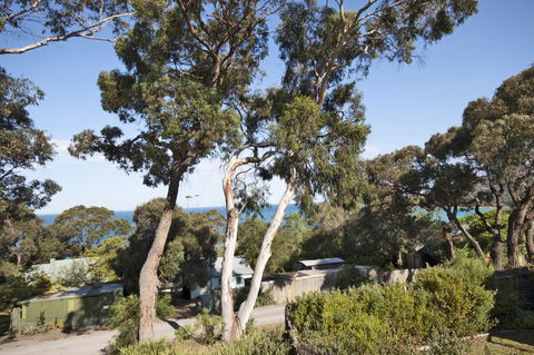 Lorne Surf Apartments - Northern Rivers Accommodation 11
