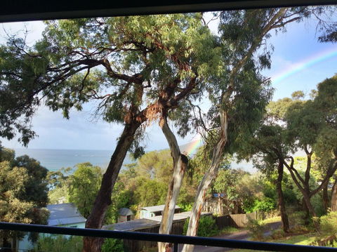 Lorne Surf Apartments - Northern Rivers Accommodation 4
