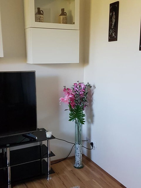 Romsey Homestay - Northern Rivers Accommodation 8