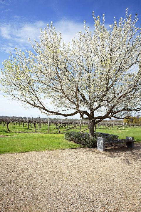 Lancemore Milawa - Northern Rivers Accommodation 12