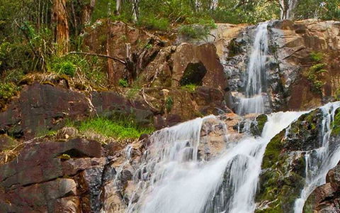 Marysville Caravan And Holiday Park - Northern Rivers Accommodation 37