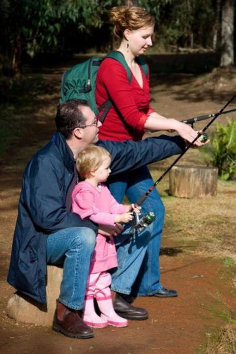 Marysville Caravan And Holiday Park - Northern Rivers Accommodation 22