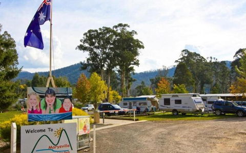 Marysville Caravan And Holiday Park - Northern Rivers Accommodation 34