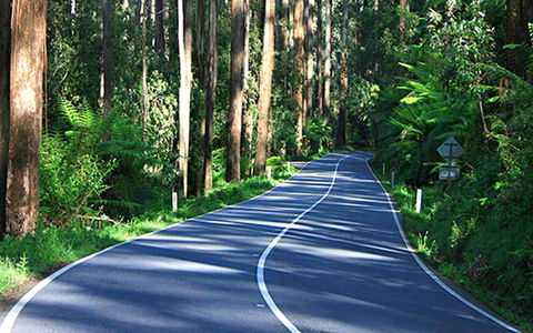 Marysville Caravan And Holiday Park - Northern Rivers Accommodation 40