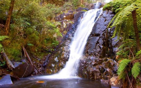 Marysville Caravan And Holiday Park - Northern Rivers Accommodation 32