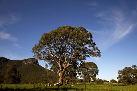 Dunkeld Studio Accommodation - Northern Rivers Accommodation 23