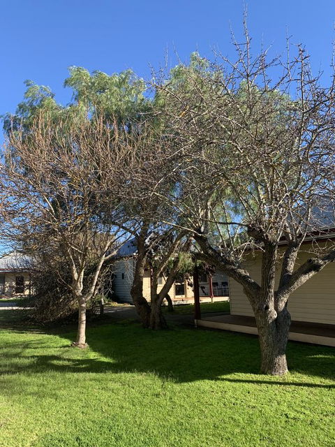 Dunkeld Studio Accommodation - Northern Rivers Accommodation 4