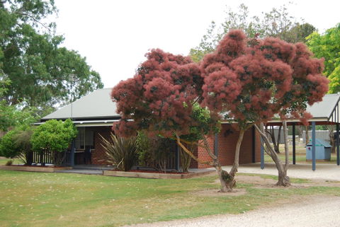 Greenvale Holiday Units - Northern Rivers Accommodation 9