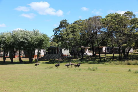 Halls Gap Lakeside Tourist Park - Northern Rivers Accommodation 1