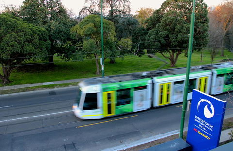 Whitehorse Apartments Hotel - Northern Rivers Accommodation 13