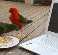 Wilsons Promontory Motel - Northern Rivers Accommodation