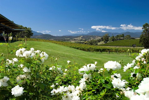 Balgownie Estate Yarra Valley - Northern Rivers Accommodation 36
