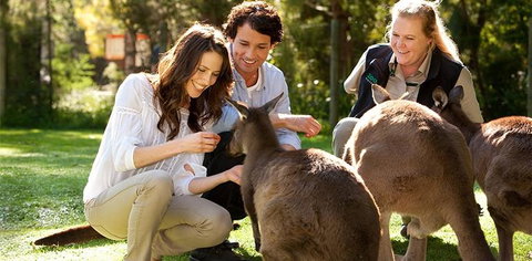 Balgownie Estate Yarra Valley - Northern Rivers Accommodation 10