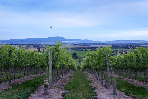 Balgownie Estate Yarra Valley - Northern Rivers Accommodation 37