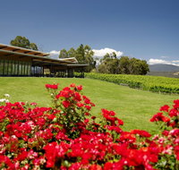 Balgownie Estate Vineyard Resort  Spa - Northern Rivers Accommodation