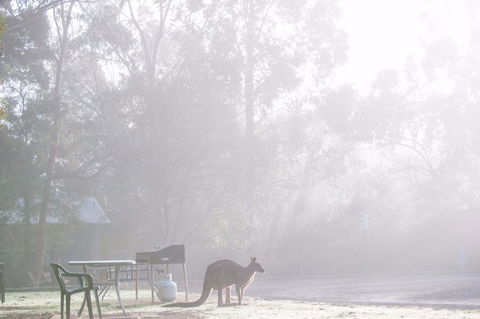Gariwerd Motel - Northern Rivers Accommodation 18