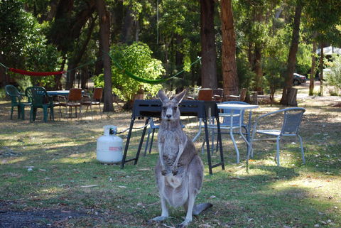 Gariwerd Motel - Northern Rivers Accommodation 26