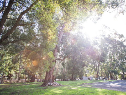 Gariwerd Motel - Northern Rivers Accommodation 7