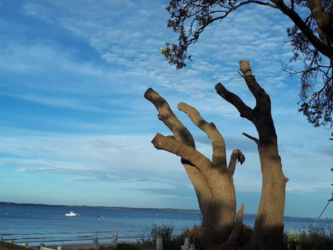 Apartments In Phillip Island Towers - Block C - Northern Rivers Accommodation 10