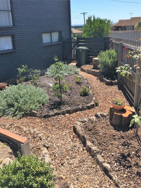 The Cosy Bungalow - Northern Rivers Accommodation 14
