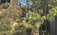 The Cosy Bungalow - thumb 10