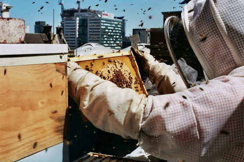 Alto Hotel On Bourke - Northern Rivers Accommodation 14