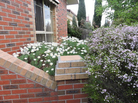 Monash And Chadstone WiFi - Northern Rivers Accommodation 3