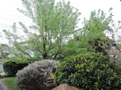 Monash And Chadstone WiFi - Northern Rivers Accommodation 4