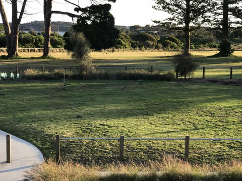Bunya By The Sea - Northern Rivers Accommodation 3