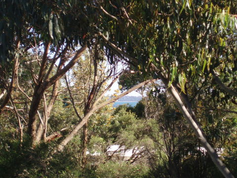 Aloha Ha Phillip Island - Northern Rivers Accommodation 24