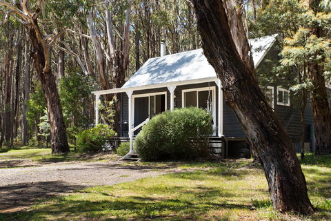 Bodhi Daylesford - Northern Rivers Accommodation 26