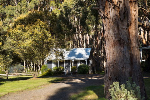 Bodhi Daylesford - Northern Rivers Accommodation 8