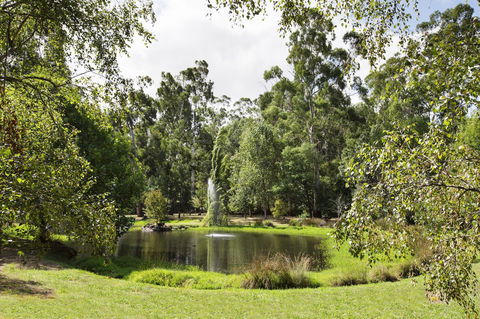 Nightcap At York On Lilydale - Northern Rivers Accommodation 34