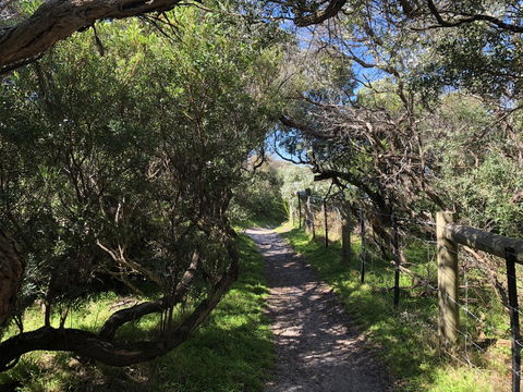 Beautiful, Cosy And Quiet - Northern Rivers Accommodation 20