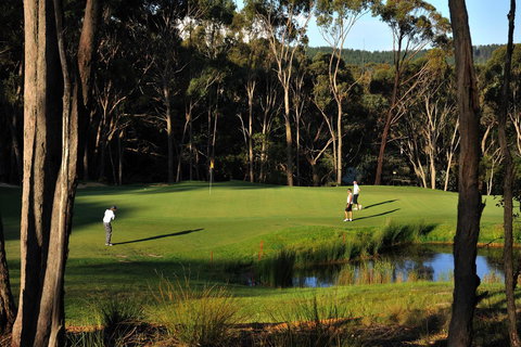 RACV Goldfields Resort - Northern Rivers Accommodation 12