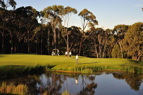 RACV Goldfields Resort - Northern Rivers Accommodation 31